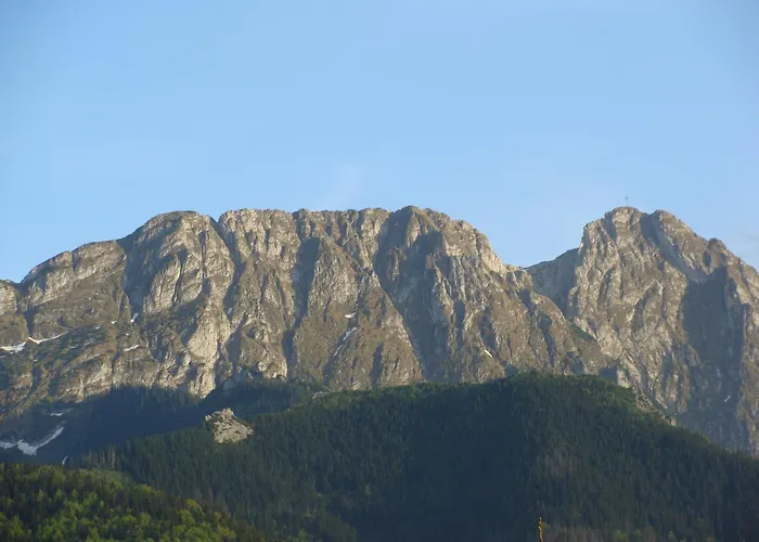 Jedrus